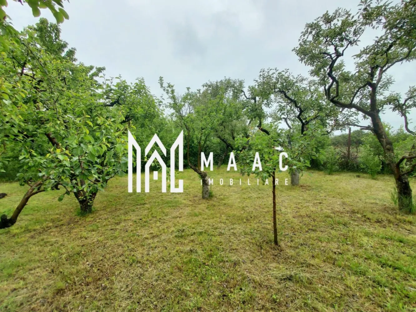 Black Friday | Casa | 1331 mp Teren | Miercurea Sibiului |