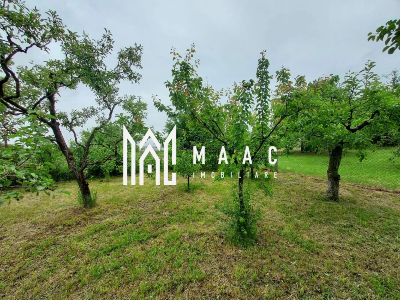 Black Friday | Casa | 1331 mp Teren | Miercurea Sibiului |