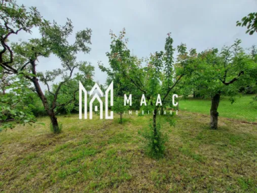 Black Friday | Casa | 1331 mp Teren | Miercurea Sibiului |