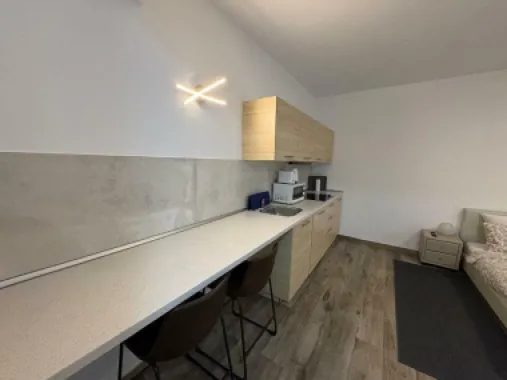BRASADAS închiriază garsoniera in zona Unirii 2018 balcon.
