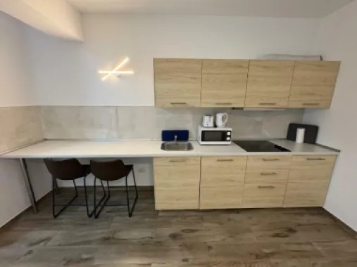 BRASADAS închiriază garsoniera in zona Unirii 2018 balcon.