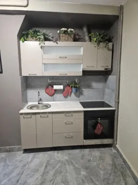 Ofer spre închiriere apartament 2 cam Cișmigiu, str Sipotul Fantanilor