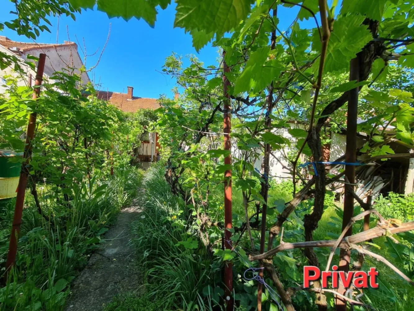 Casă cu grădină str.Anton Pann/486mp/3 front/spațiu com./155.000€neg. - De vânzare casă cu suprafața desfășurată 186 mp,teren~ 5 ari, zona 14 Mai. Imobilul este compus din: 4 cam.,2 bucătării,2 băi, beci,3 garaje. Și cu spațiu comercial destinat pentru afaceri,cu acces la stradă. În zona apropiata,la 50-100m,se află magazine,farmacie,cabinete medicale,stație de autobuz. Casa dispune de toate utilitățile și se află într-o zonă cu potențial de dezvoltare/investiție.