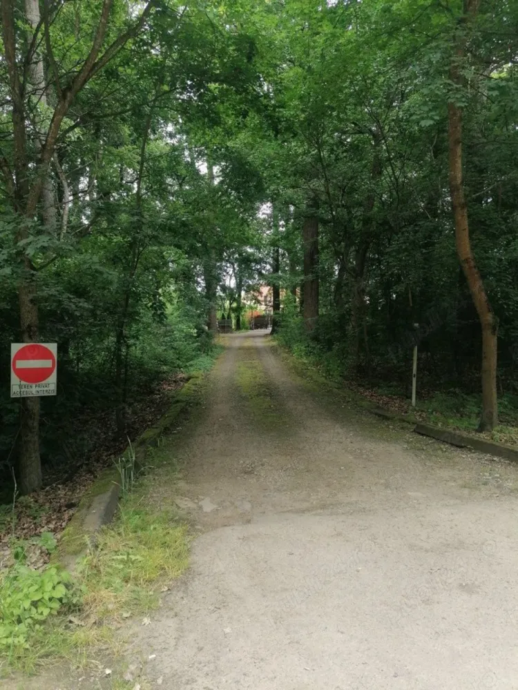 BRASADAS vinde casa tip P+M+D Padurea Noroieni. - Agentia Imobiliara BRASADAS vinde casă tip P+M+D, situată în zona Pădurea Noroieni, îți oferă o astfel de promisiune. O promisiune a unei vieți mai simple, mai sănătoase, mai conectate cu esența naturii. Ce înseamnă 300 m utili din care 100mp pivnita și 2100 m de teren? Înseamnă spațiu. Spațiu pentru tine, pentru pasiunile tale, pentru familie, pentru a respira adânc și a te reconecta cu tine însuți. Îți poți imagina mesele în familie cu legume proaspete din propria grădină? Gustul autentic al alimentelor organice, hrănitoare și pline de vitalitate. Un dar prețios pentru sănătatea ta și a celor dragi. Cum ar fi să nu te mai preocupe facturile uriașe la energie? Panourile fotovoltaice de 13kW oferă independență energetică, o liniște financiară și o contribuție semnificativă la protejarea mediului. O alegere inteligentă și responsabilă. Îți dorești un loc unde relaxarea este la ea acasă? Jacuzzi, saună, șemineu - oaze de bine și confort, create pentru momente de răsfăț și revitalizare. Ce reprezintă facilitățile moderne într-un cadru natural? Confortul vieții contemporane îmbinat armonios cu farmecul și liniștea naturii. Ai tot ce îți trebuie la îndemână, fără a renunța la frumusețea și simplitatea vieții în aer liber. Te atrage ideea unei case deja mobilate și utilate de lux? Un cămin primitor, gata să te îmbrățișeze, fără griji și fără efort suplimentar. Dar dacă visul tău de a locui într-un astfel de loc ar putea deveni realitate mai ușor decât crezi? Finanțarea directă de la proprietar, în rate flexibile pe până la 3 ani, îți deschide o poartă spre posibilități neașteptate. Nu-i așa că îți dorești un loc unde să te simți cu adevărat acasă? Un refugiu personal, o oază de liniște, un spațiu unde tu și cei dragi puteți crește, vă puteți dezvolta și puteți trăi o viață împlinită. Această casă este mai mult decât o proprietate. Este o invitație la un stil de viață diferit. Un stil de viață care pune preț pe sănătate, natură, armonie și bunăstare. Pentru cine este această casă? Pentru cei care prețuiesc liniștea, natura și un stil de viață sănătos. Pentru familii care își doresc o copilărie de calitate pentru copiii lor. Pentru cei care caută un refugiu personal, departe de agitația orașului. Te invită să te oprești, să respiri adânc și să te imaginezi trăind aici. Să simți liniștea, să guști aerul curat, să te bucuri de frumusețea naturii. Dacă te atrage această imagine, poate că această casă este locul pe care îl cauți. Vino să o descoperi. Sună și programează o vizionare. Www.brasadas.com.
