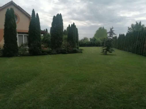 BRASADAS vinde casa tip P+M+D Padurea Noroieni.