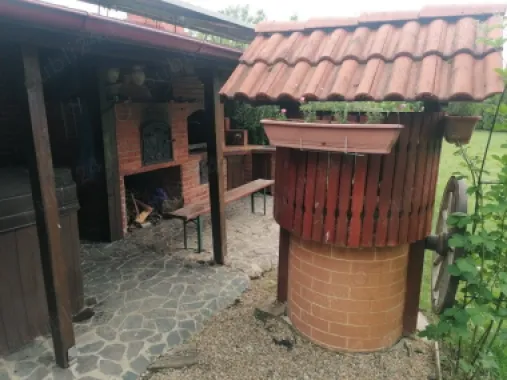 BRASADAS vinde casa tip P+M+D Padurea Noroieni.