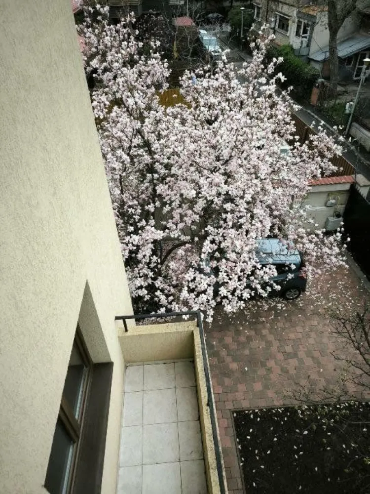 Polona - Dorobanti Apartament 3 camere