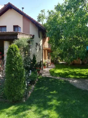 BRASADAS vinde casa individuala Lucian Blaga.
