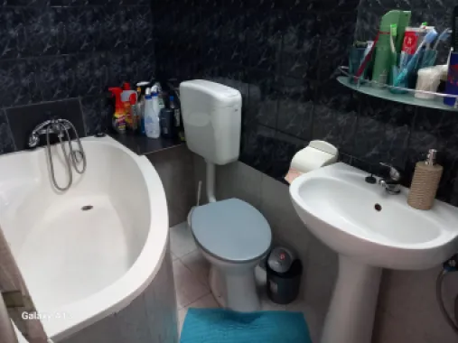 BRASADAS vinde casa curte comuna 3 cam 77mp HALA TRAIAN