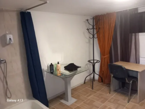Ag BRASADAS vinde vila 30 cam 1700mp Unirii.