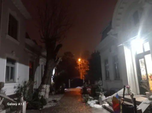 Ag BRASADAS vinde vila 30 cam 1700mp Unirii.