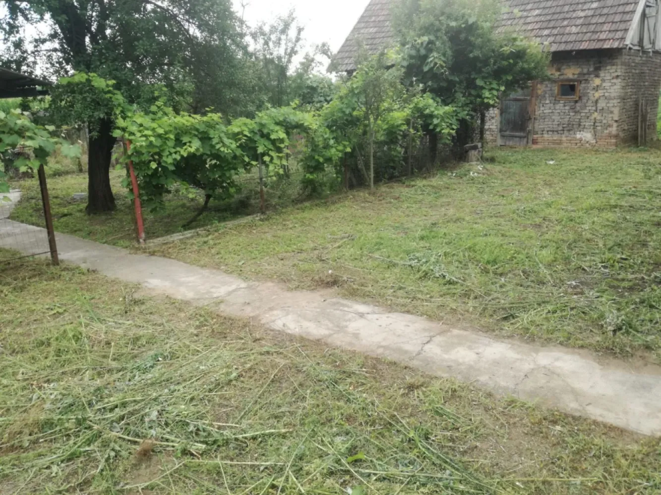 Ag BRASADAS vinde casa LOCUIBILA 3 cam teren 5.000 mp HOREA.