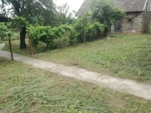 Ag BRASADAS vinde casa LOCUIBILA 3 cam teren 5.000 mp HOREA.