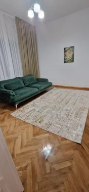 Ag BRASADAS vinde vila 8 camere Parcul Carol