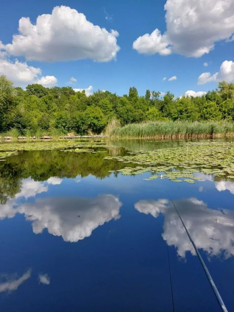 Vila cu ponton la lacul Snagov - Proprietar, vand vila P+1 in Izvorani, Ilfov, avand o suprafata de 160 m.p., cu iesire si ponton la lacul Snagov. Casa este amplasata in zona Padurii Snagov si a Comitetului Olimpic si Sportiv Roman. Zona este superba si extrem de linistita. Puteti avea propria delta, la mai putin de 30 de minute de Mall Baneasa si la aproximativ 10 minute fata de Corbeanca. Pontonul este foarte mare si se afla in coproprietate cu 4 familii vecine. Vila poate fi folosita atat ca si casa de vacanta, cat si ca locuinta permanenta. Vecini VIP.