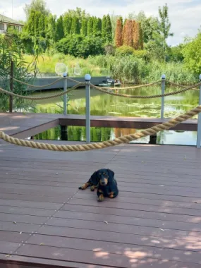 Vila cu ponton la lacul Snagov