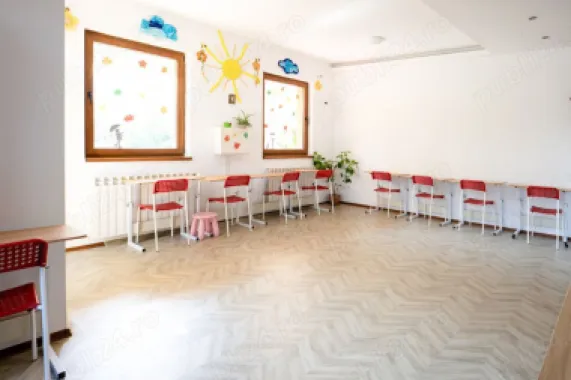 Special villa north area of Bucharest, for residence or business,owner