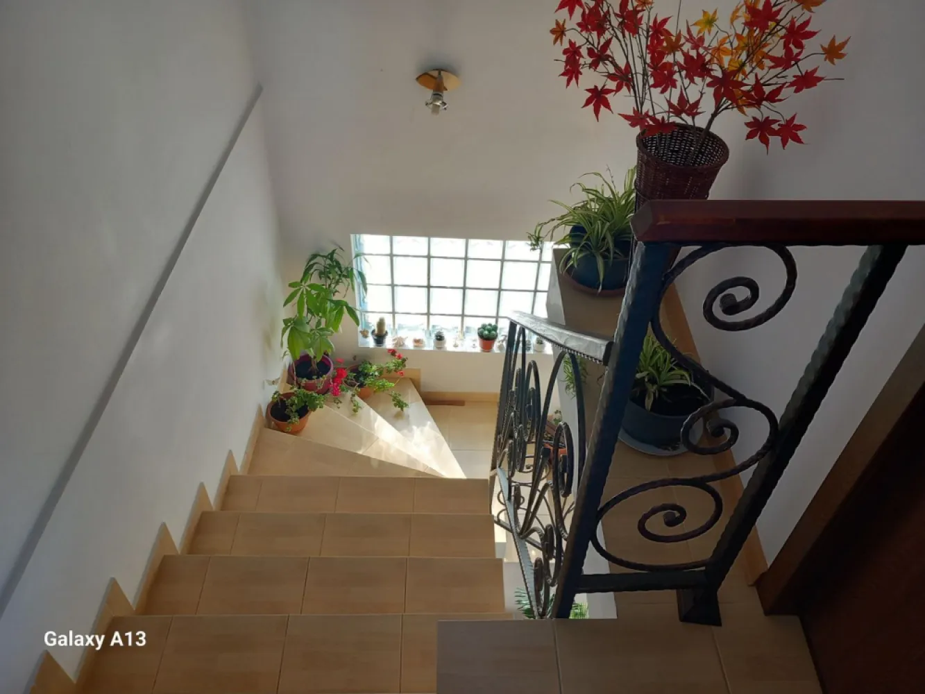 Ag BRASADAS vinde casa individuala 5 cam orasul PANTELIMON. - Agenția BRASADAS vinde casa individuala cu 5 camere, 4 dormitoare, bucatarie inchisa, 2 bai, 2 terase, balcon si 2 locuri de parcare situata în orașul PANTELIMON, construita in 2015. Terenul aferent este în suprafață de 262mp. suprafață utilă a casei este de 110mp, cea construita este 123mp, iar amprenta la sol 65mp. În apropiere la 5 minute pe jos este statie Pentru mai multe oferte accesați www.brasadas.com.