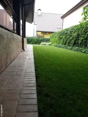 Pipera Vand Birou Locuinta Vila Casa Proprietar Comision 0%