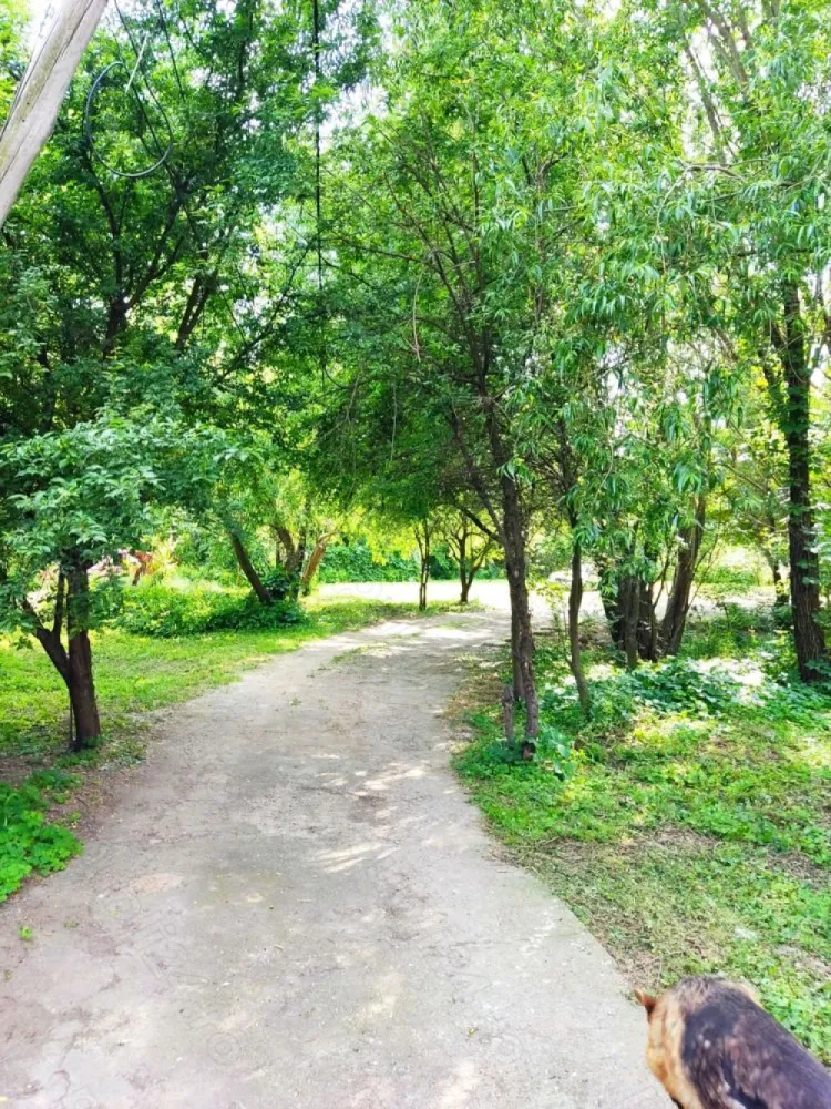Casa de vanzare - Casa de vânzare in București 2000mp curte , toate utilitățile stradale trifazic, casa parter plus mansardă 170 120mp 7 camere, plus garaj si terase 120mp constructie 2015,iesire la două strazi