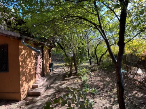 Teren 480 cu casa de 3 camere demolabila ( sau renovabila) sector 1