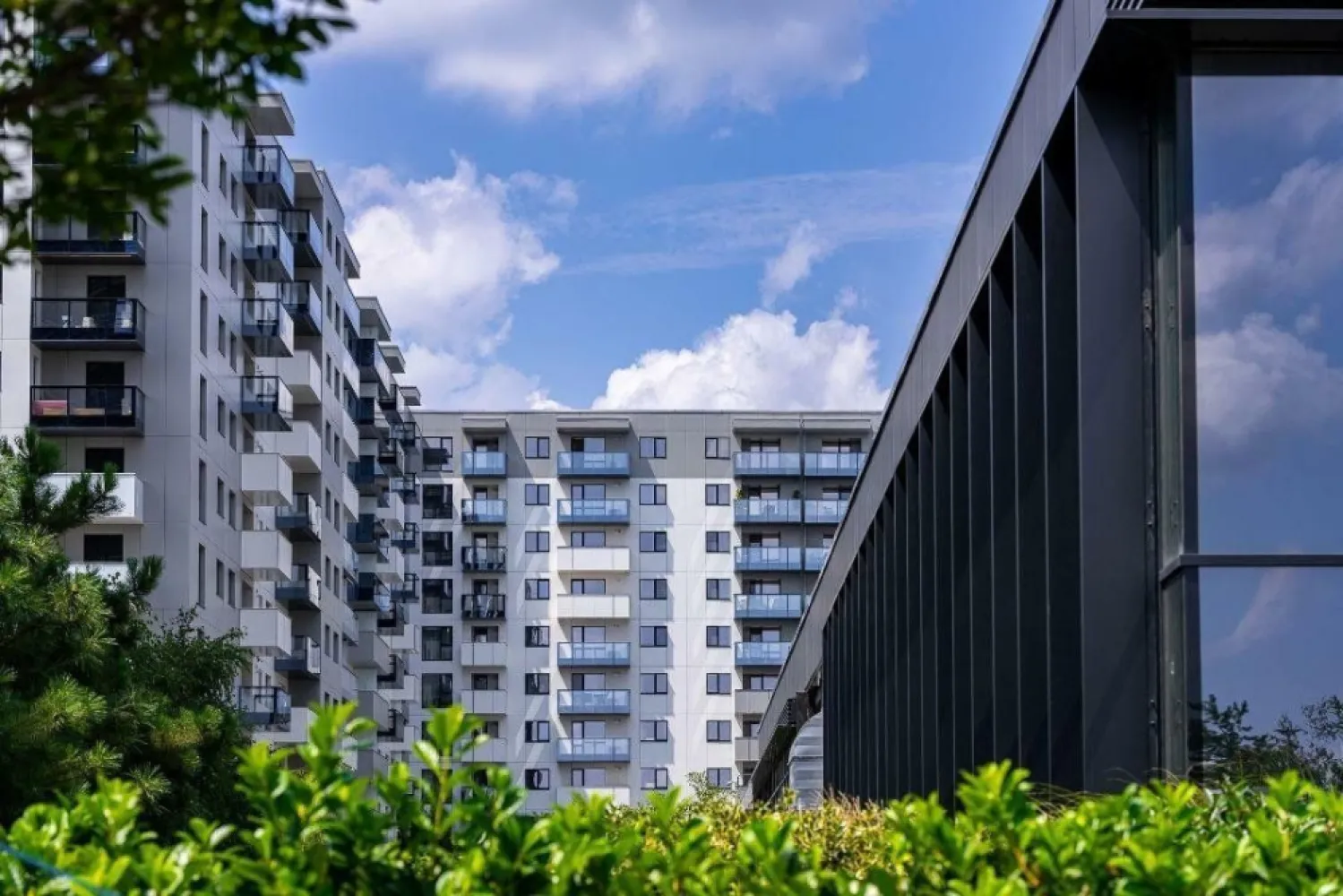 VÂNZARE APARTAMENT PREMIUM | CORTINA NORTH PIPERA | LOC PARCARE SUBTERAN - Vând un apartament deosebit, poziţionat ideal în ansamblul rezidenţial Cortina North, o locaţie emblematică a zonei de nord a Capitalei. đŸ“ COMPARTIMENTARE & SPECIFICAŢII: â€˘ 3 camere spaţioase şi luminoase â€˘ Decomandat, compartimentare optima â€˘ Suprafaţă utilă generoasă: 78 mp â€˘ Terasă: 5 mp â€˘ Etaj: 6/10 â€˘ Stare: ready to use, nemobilat, pregătit pentru amenajare conform preferinţelor â€˘ Loc de parcare subteran inclus în preţ âœ¨ FINISAJE PREMIUM: â€˘ Tâmplărie de aluminiu SchĂźco cu geam tripan â€˘ Faţadă ventilată Swisspearl â€˘ Parchet de înaltă calitate în camere â€˘ Gresie şi faianţă premium în băi, cu un design de excepţie â€˘ Centrală termică proprie Ariston â€˘ Aparate de aer condiţionat în fiecare încăpere, cu o singură unitate exterioară â€˘ Uşi interior tip Filomuro â€˘ Uşă de exterior de înaltă siguranţă, cu închidere multipunct â€˘ Videointerfon đŸ° FACILITĂŢI COMPLEX: â€˘ Sală de fitness, centru Wellness, bazin de înot semiolimpic â€˘ Spaţii verzi amenajate peisagistic â€˘ Pază şi supraveghere video 24/7 â€˘ Sistem smart pentru acces în complex đŸ“ LOCAŢIE: â€˘ Acces rapid către zona de business şi office â€˘ În apropiere de Promenada Mall şi Pipera Plaza â€˘ Transport în comun la câţiva paşi, staţia de metrou Aurel Vlaicu, în apropiere â€˘ Şcoli şi grădiniţe în zonă â€˘ Parcuri şi zone de recreere în proximitate, Pacul Herăstrău la 5 minute đŸ’° PREŢ: 240.000 EUR (TVA inclus) đŸ’Ą MODALITATE DE VÂNZARE: â€˘ Vânzare directă de la proprietar, fără comision â€˘ Se acceptă credit bancar â€˘ Acte pregătite pentru vânzare â€˘ Disponibilitate imediată pentru vizionare Apartamentul se predă nemobilat, oferindu-vă libertatea de a-l amenaja după propriul stil şi preferinţe. đŸ“ž Pentru vizionări şi informaţii suplimentare, vă stăm la dispoziţie! Puteţi viziona un tur virtual al unui apartament similar - *Preţul este final, nu se aplică TVA. Se poate achiziţiona o parcare la subsolul -2 la preţul de 18.000 euro( nu se aplica TVA)