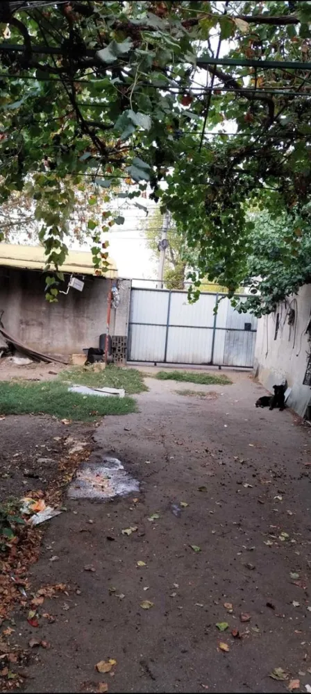 Constructie hala garaj plus teren , 300 mp, Sos. Fundeni, Stradal - Vand constructie hala garaj plus teren , suprafata totala 300 mp, Sos. Fundeni , Stradal, jumatate constructie jumatate curte. VIS-A-VIS de benzinaria LUKOIL. Se poate folosi pt Atelier, firma, birouri, depozit, etc. Se poate amenaja interiorul si pt locuit, se poate compartimenta, are fundatie rezistenta, placa de beton, mansarda, acoperis. Exista bransament curent electric, , apa , canalizare, cu posibilitate bransament gaze si curent 380 chiar la poarta.. P tdetalii sunati la nr 07******84