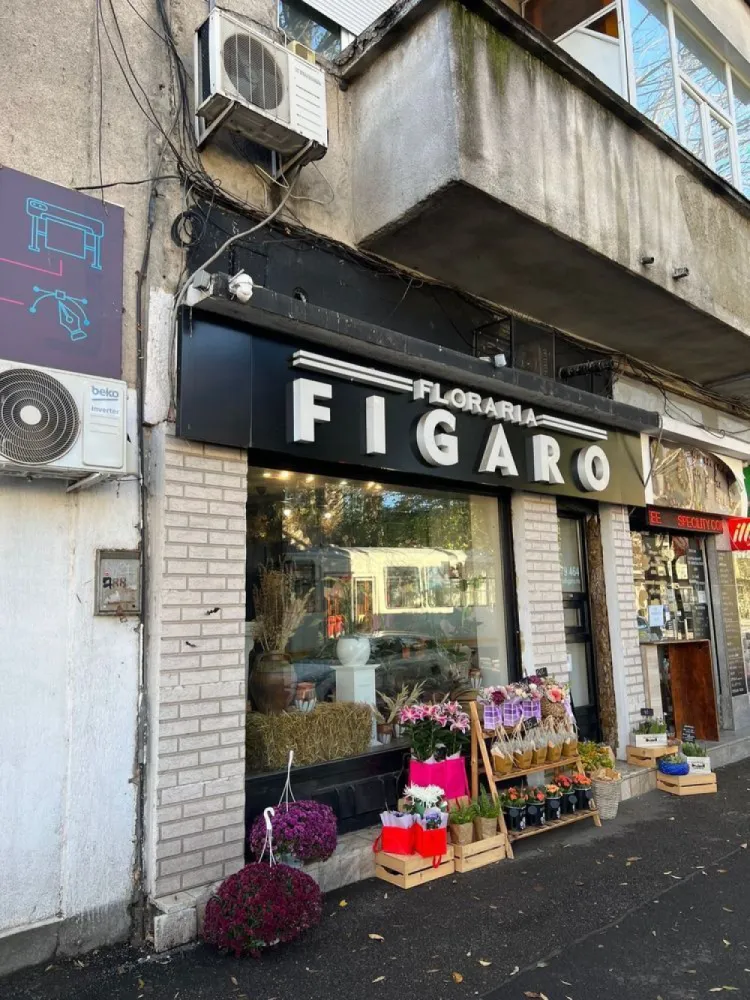 Spatiu comercial Pache Protopopescu - Proprietar,vand spatiu comercial situat pe B dul Pache Protopopescu 88.Parte 36 mp,subsol 17 mp.Grup sanitar,centrala gaz,aer conditionat,stabilizator.Vitrina aproximativ 4 m.
