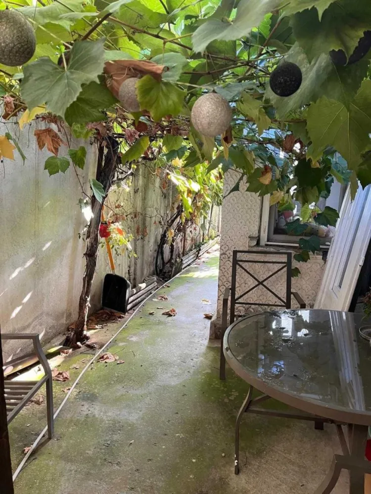 De vanzare casa trei camere - Se vinde! Casa, trei camere, compartimentare stil vagon, dupa cum urmeaza: doua dormitoare, sufragerie, hol, antreu, bucatarie, baie, camara, beci. Podul este dispus pe toata suprafata casei si poate fi mansardat. Casa dispune de doua intrari/iesiri atat in casa, cat si pe strada - accesul se poate face din strada in curte, dar si din strada direct in bucatarie. Casa poate fi demolata daca viitorul proprietar doreste acest lucru, fiind o casa veche, dar poate fi si locuita. Ultima renovare a avut loc in 2017 (complet) si 2023 (partial). Casa dispune de AC, centrala proprie, parchet, gresie, faianta, termopan. Pretul este discutabil. Statia de tramvai 45 si 3 - la 10 min de mers pe jos Autobuzul 476 - 10 min de mers pe jos Datorita lucrarilor pentru metrou - Otopeni-1 Mai, momentan este disponibil tramvaiul 53. La 15 min de mers pe jos se afla Piata 16 februarie, Mega Image, Biserica Sf Andrei Carrefour Colosseum / Mall Colosseum / Leroy Merlin - 7 min cu masina Parcul Bazilescu 20 min pe jos Metroul Bazilescu - 20 min pe jos