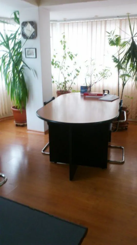 Casa/Vila/Spatiu comercial Rahova-Sos.Salaj