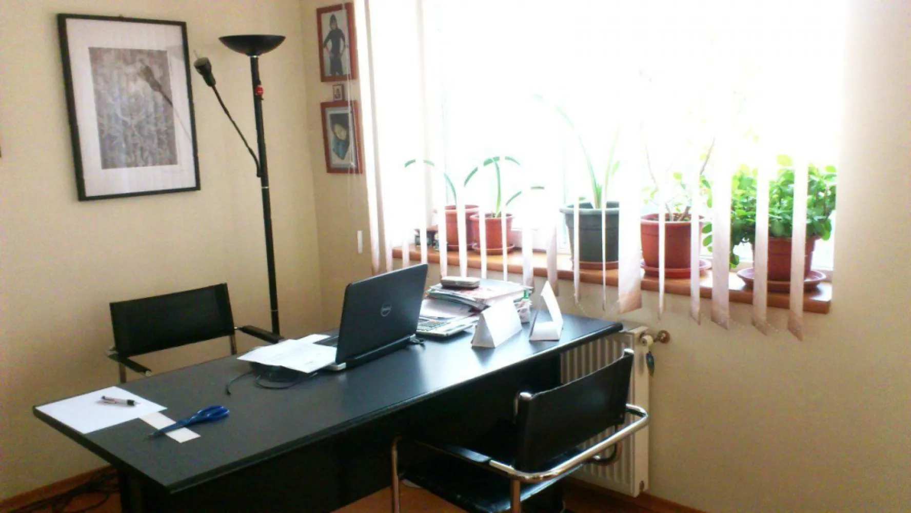 Casa/Vila/Spatiu comercial Rahova-Sos.Salaj