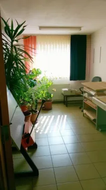 Casa/Vila/Spatiu comercial Rahova-Sos.Salaj