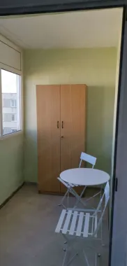 Piața berceni PROPRIETAR Spit bagdasar obregia