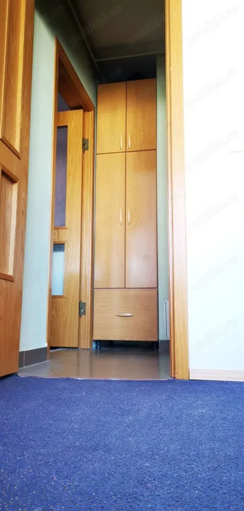 Piața berceni PROPRIETAR Spit bagdasar obregia