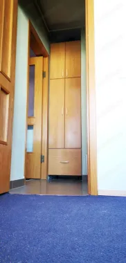 Piața berceni PROPRIETAR Spit bagdasar obregia