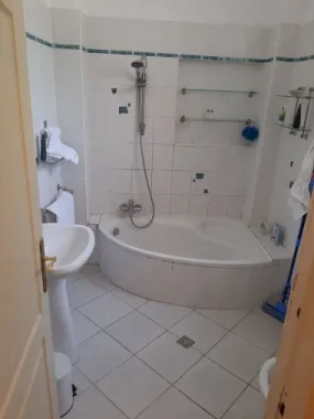 Vând apartament 185mp la Cișmigiu