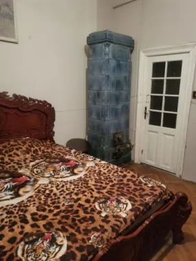 Vand apartament in vila