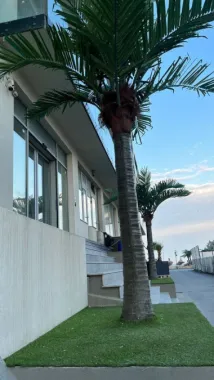 Vand apartament cu vedere la mare- Mamaia Nord
