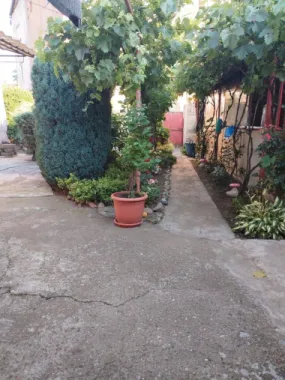 ageuropa.ro vinde casa in zona 14 Mai cu 3 cam. si teren aferent de 500mp.