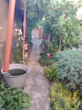 ageuropa.ro vinde casa in zona 14 Mai cu 3 cam. si teren aferent de 500mp.