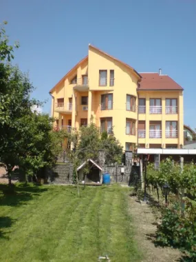 ageuropa.ro vinde casa 16 camere teren 1500mp in zona ULTRACENTRALA.