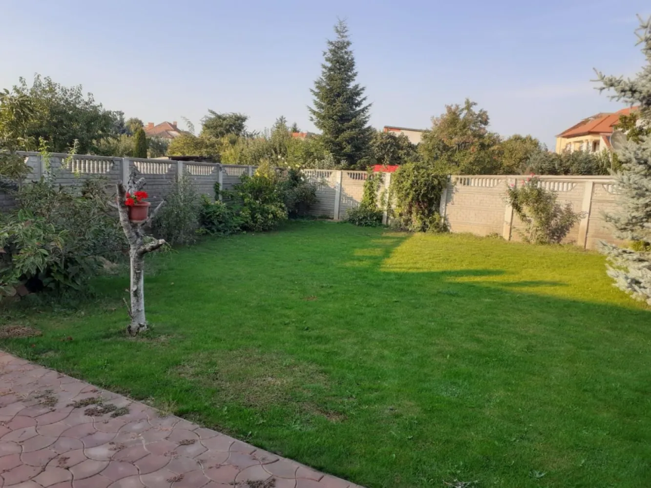 Ag EUROPA vinde casa individuala 6 cam. si teren 5 ari în Titulescu.