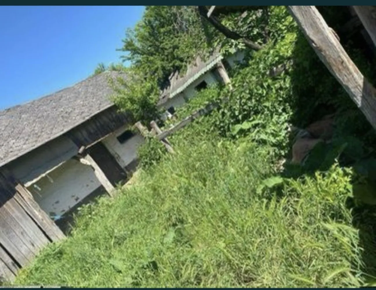 Casa de vanzare- Pret in euro - Propun spre vânzare o proprietate de aproximativ 15 ari , cu o curte și grădina generoasă, lânga se afla si un râu. Casa este compusă din 3 camere , o bucatarie , si o bucatarie de vară, cămara , Geamuri si ușii de termopan si lemn. Mai multe poze în privat... Proprietatea se afla la satul Dindești jud SM o zonă liniștita. Pentru vizionare si mai multe informații va rog sa ma contactați la telefon. 07******13 Pret în euro ,putin negociabil