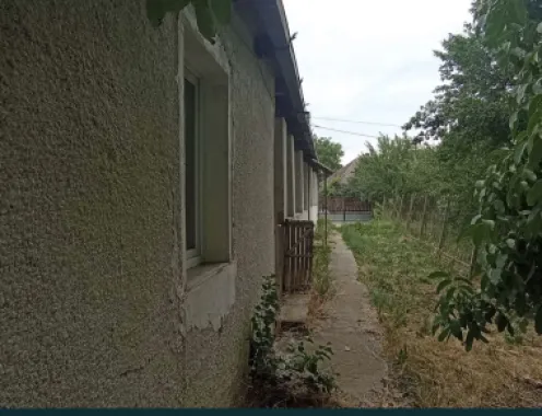 Casa cu teren de vanzare-Satmarel, Satu Mare