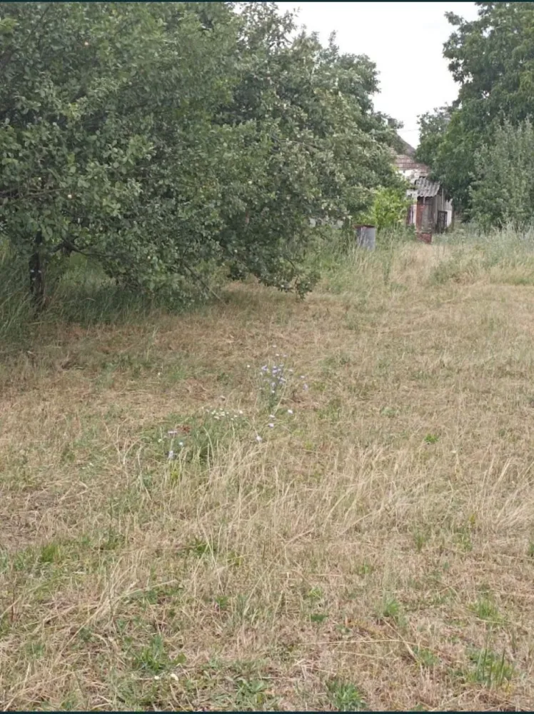 Casa cu teren de vanzare-Satmarel, Satu Mare