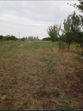 Casa cu teren de vanzare-Satmarel, Satu Mare