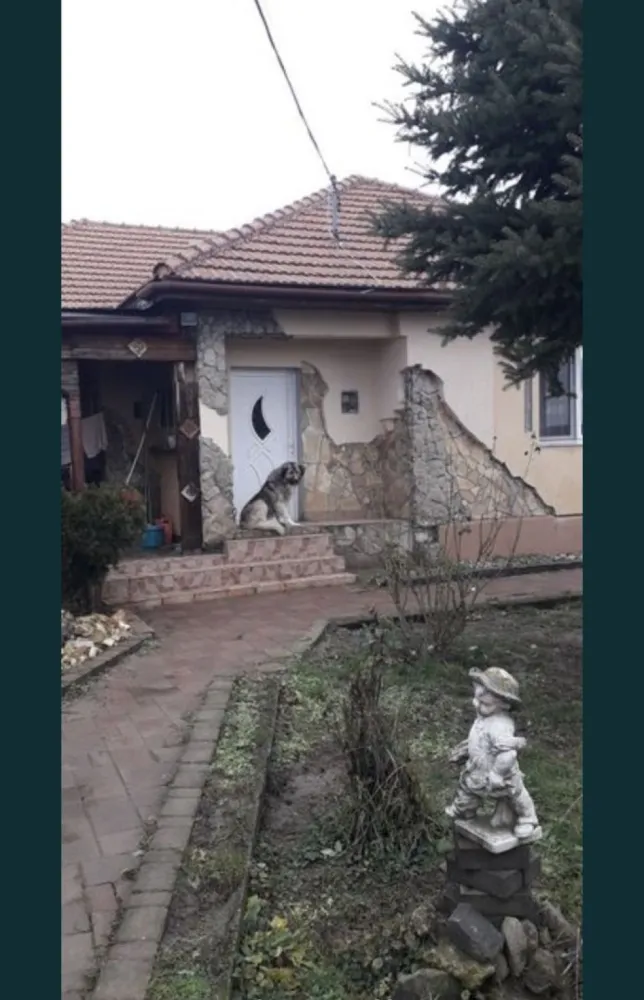 Vand casa Lazuri, Jud.SM - Casă construită 2010, suprafața teren 803 m² ( front 16,16 × 50 ) metri, suprafața casă 125 m². Compus astfel: Camera 1 are 28 m² ( 4×7 ); Camera 2 are 14,7 m² ( 3,2×4,6 ); Camera 3 are 18,4 m² (4,6×4); Bucatarie și hol 30 m² ( 3x10); Grup sanitar 5,7 m² ( 2,3x2,5); Terasă 12 m² ( 3x4). Bucătărie de vară 23m² (3.5×6.5) Imobil lipsit de sarcini, intabutat, cu toate utilitățile.