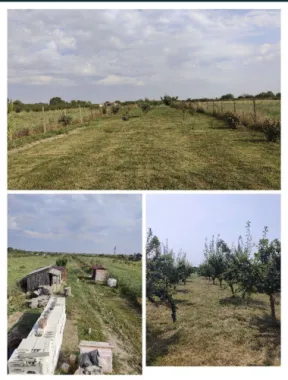 Casa noua de vanzare ( semifinisat) in Ruseni, com. Paulesti