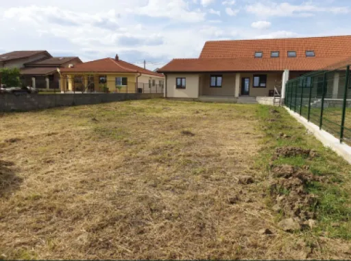 Casa Satu Mare, Lazuri