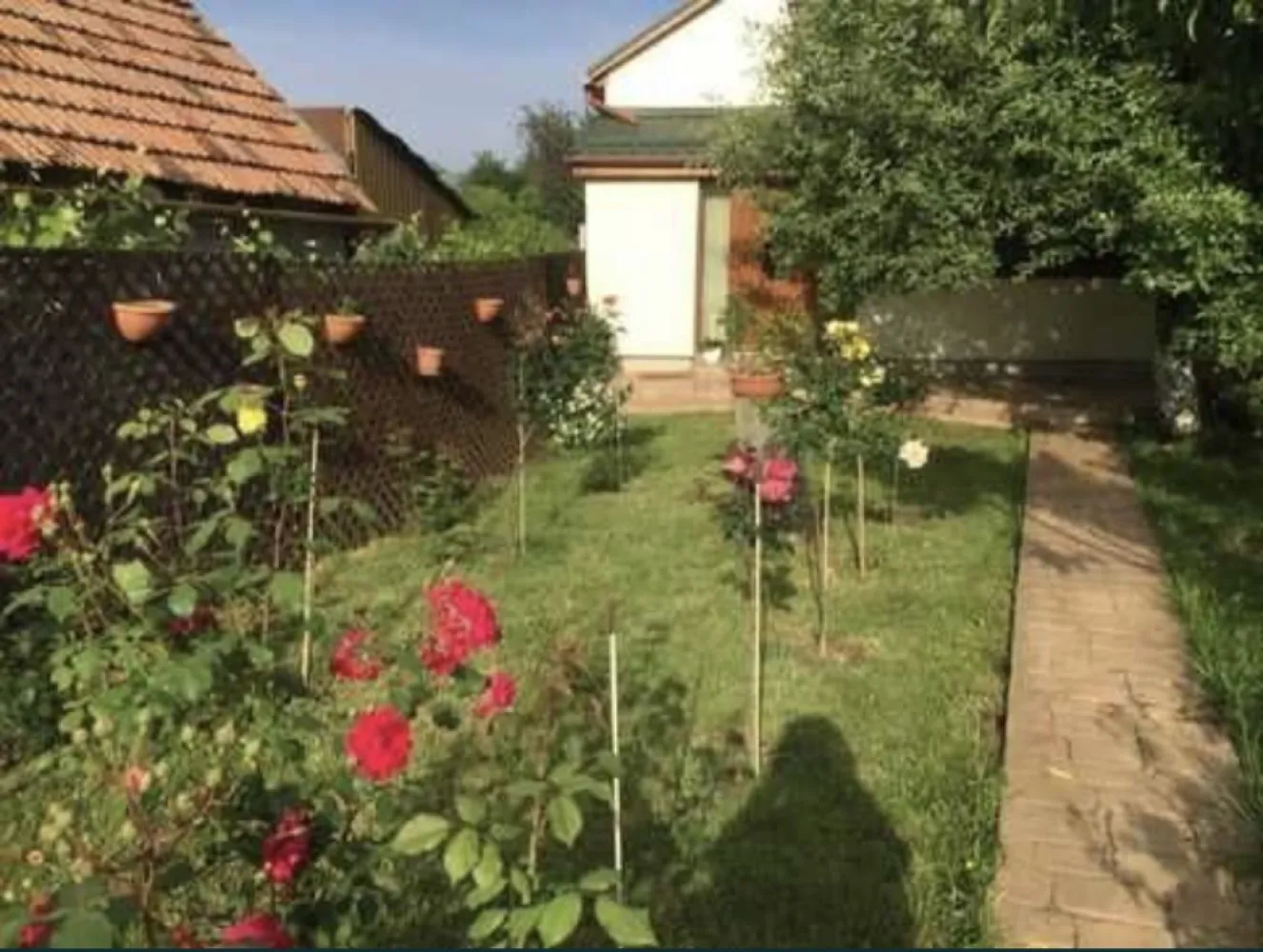 Casa la cheie 4 camere Carei gradina viilor - Se ofera spre vanzare casa de locuit cu beci, parter, si cu mansarda, in Carei, Gradina Viilor, Valea Tireamului. Casa este construita din BCA si caramida, izolata cu polistiren de 10cm. Este situata intr-o zona linistita, fara sa aiba contact cu cladirile invecinate. La subsol exista pivnita de 12mp, cu intrare rustica, din lemn, aerisire, temperatura ideala pentru vinificatie, dar si pentru pastrarea alimentelor pe timp de iarna si vara. Parterul este alcatuit dintr-o bucatarie spatioasa, cu loc de servit masa, complet mobilata si utilata, trei camere, doua holuri, o camara si doua bai. Mansarda este compusa din camera de recreere, doua dormitoare, o baie, spatiu de depozitare care poate fi utilizat si cu destinatie de dresing. In continuarea casei se afla o terasa exterioara cu inchidere completa prin jaluzele telecomandate, care pot functiona independent pe fiecare parte, spatiu pentru barbeque, grill si plita, care poate functiona si pe post de bucatarie de vara.Acces la 2 strazi ,Front la strada 15 metri-2 porti de intrare din care cea principala este automatizata la telecomanda , in continuare o suprafata de beton amprentat de 300mp, unde pot fi parcate cel putin 4 autoturisme. Langa aceasta parcare betonata exista o casuta din lemn care a fost folosita pe post de depozit, si care renovata poate functiona ca si casa de joaca pentru copii. Langa terasa exterioara se afla o constructie pentru depozitarea uneltelor necesare la intretinerea gradinii. Teren total 2200mp, suprafata casei 122mp la parter, respectiv 90mp la mansarda. Casa este racordata la reteaua de gaz, apa si canalizare a orasului, respectiv in beci este hidrofor cu posibilitate de a folosi doar apa din fantana pt irigat sau consum. Incalzirea si apa calda este asigurata prin centrala proprie pe gaz viesmann in condensare. Usi termopane atat in interior cat si in exteriorul casei, respectiv geamuri termopane prevazute cu plasa de tantari si gratii ornamentale, sistem de aer conditionat atat la parter cat si la mansarda.,Toate s-au efectuat cu autorizatie de constructie si notate in CF respectiv casa si foisorul cu grill.Cf+ul este liber de sarcini.
